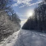 La Maison De L'oree De La Foret Дом отдыха Hasnon