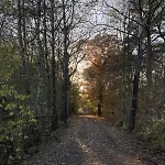 La Maison De L'oree De La Foret