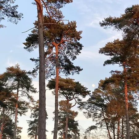 La Maison De L'oree De La Foret * Hasnon