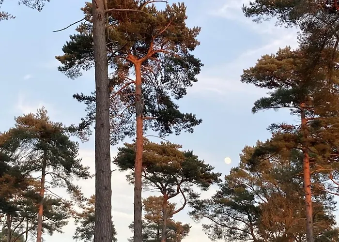 La Maison De L'oree De La Foret * Hasnon