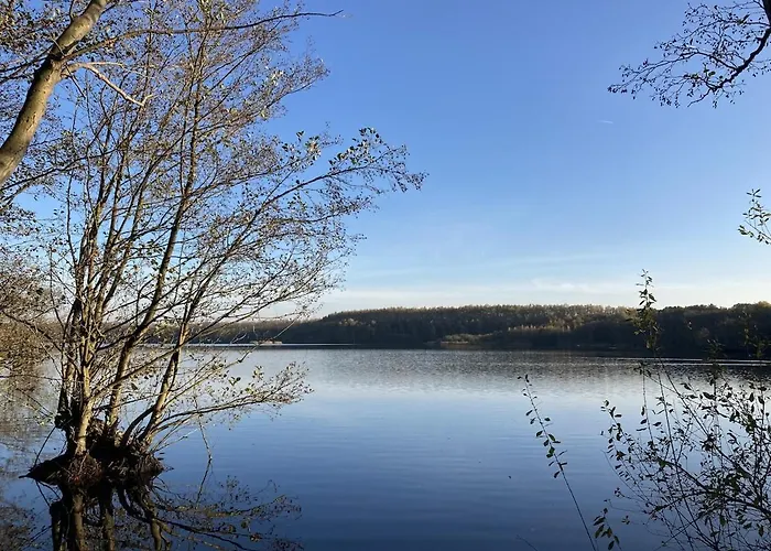 La Maison De L'oree De La Foret * Hasnon