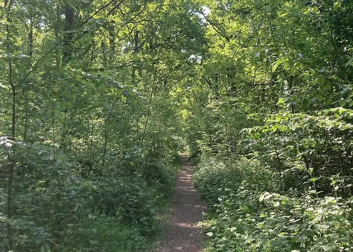 Vakantiehuis La Maison De L'oree De La Foret Hasnon