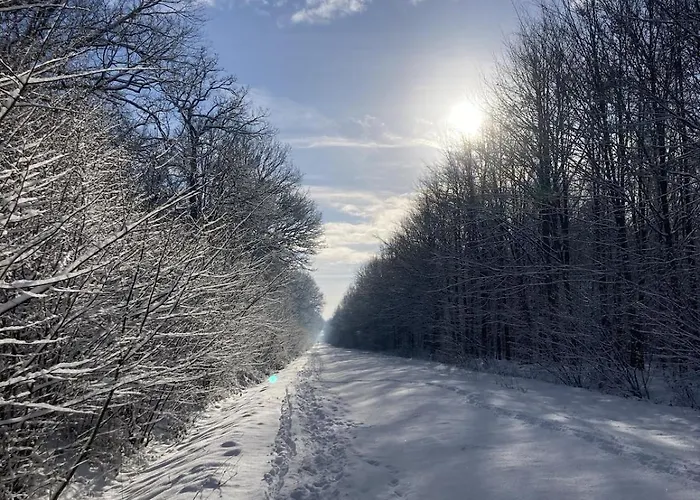 La Maison De L'oree De La Foret Vakantiehuis Hasnon