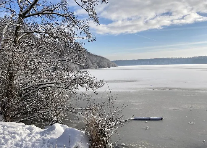 Vakantiehuis La Maison De L'oree De La Foret Hasnon