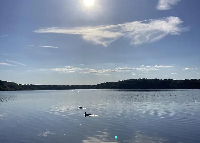 La Maison De L'oree De La Foret Vakantiehuis *