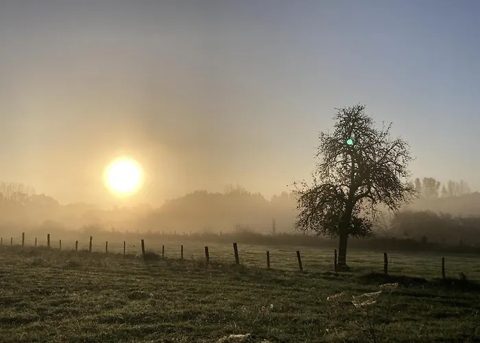 Vakantiehuis La Maison De L'oree De La Foret *